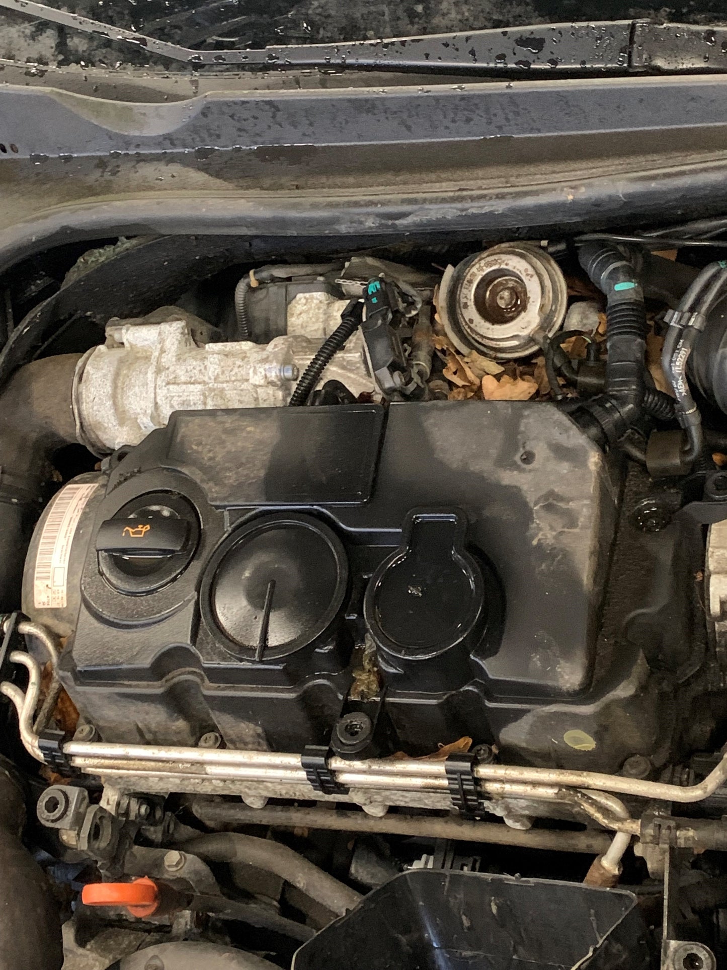 VW Eos 1Q Pluk-Selv-Bil Med OEM Nr. Ophugger Fra VW Ophugger