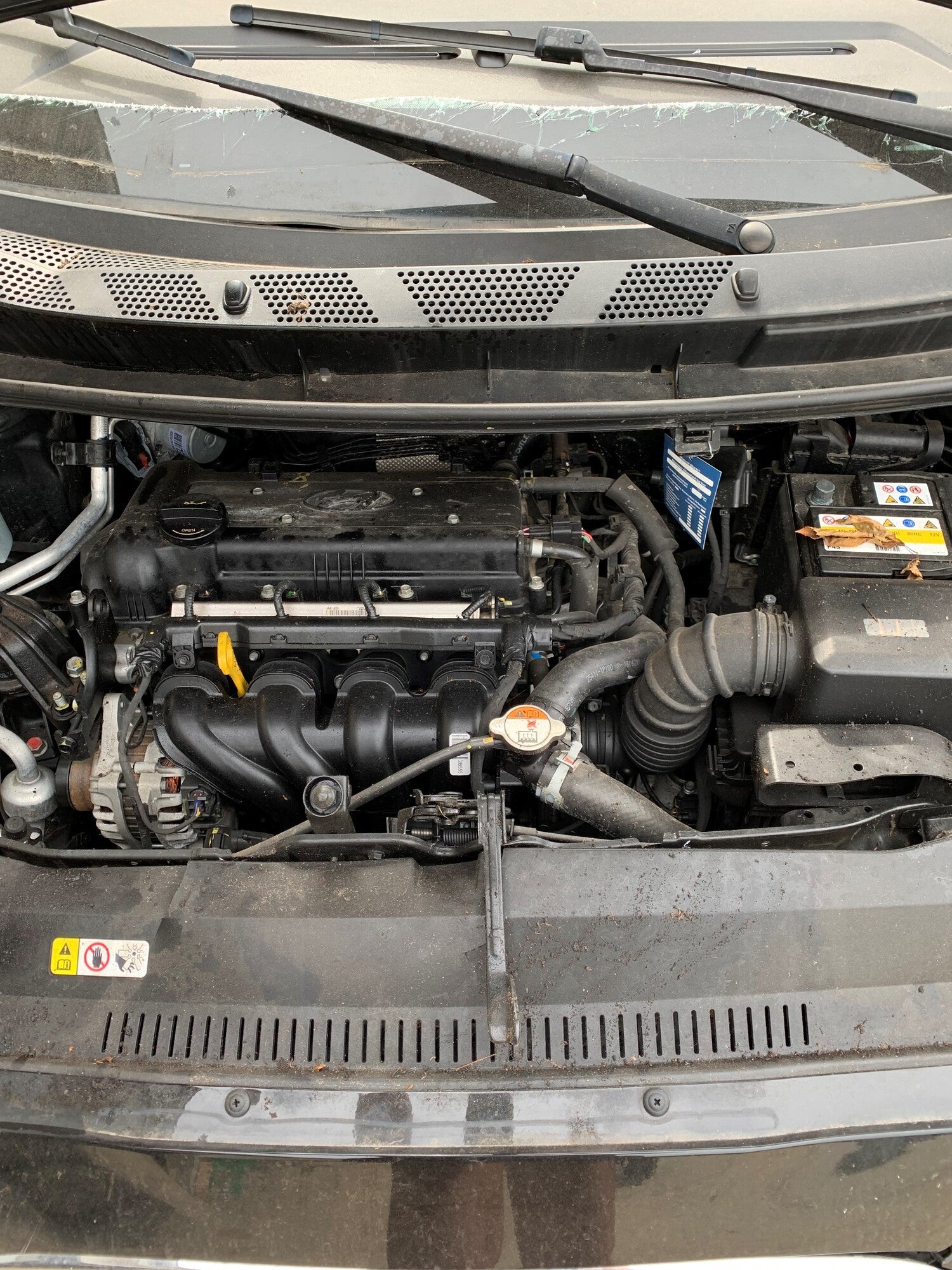 Hyundai Ix20 Pluk-Selv-Bil Med OEM Nr. Ophugger Fra Hyundai Ophugger