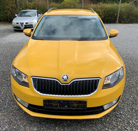 Skoda Octavia Pluk-Selv-Bil Med OEM Nr. TMBJF7NE1G0009915 Fra Skoda Ophugger