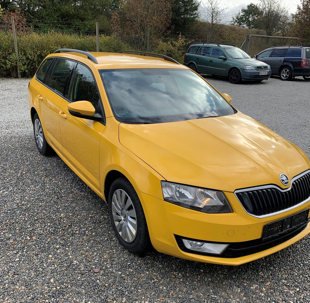 Skoda Octavia Pluk-Selv-Bil Med OEM Nr. TMBJF7NE1G0009915 Fra Skoda Ophugger