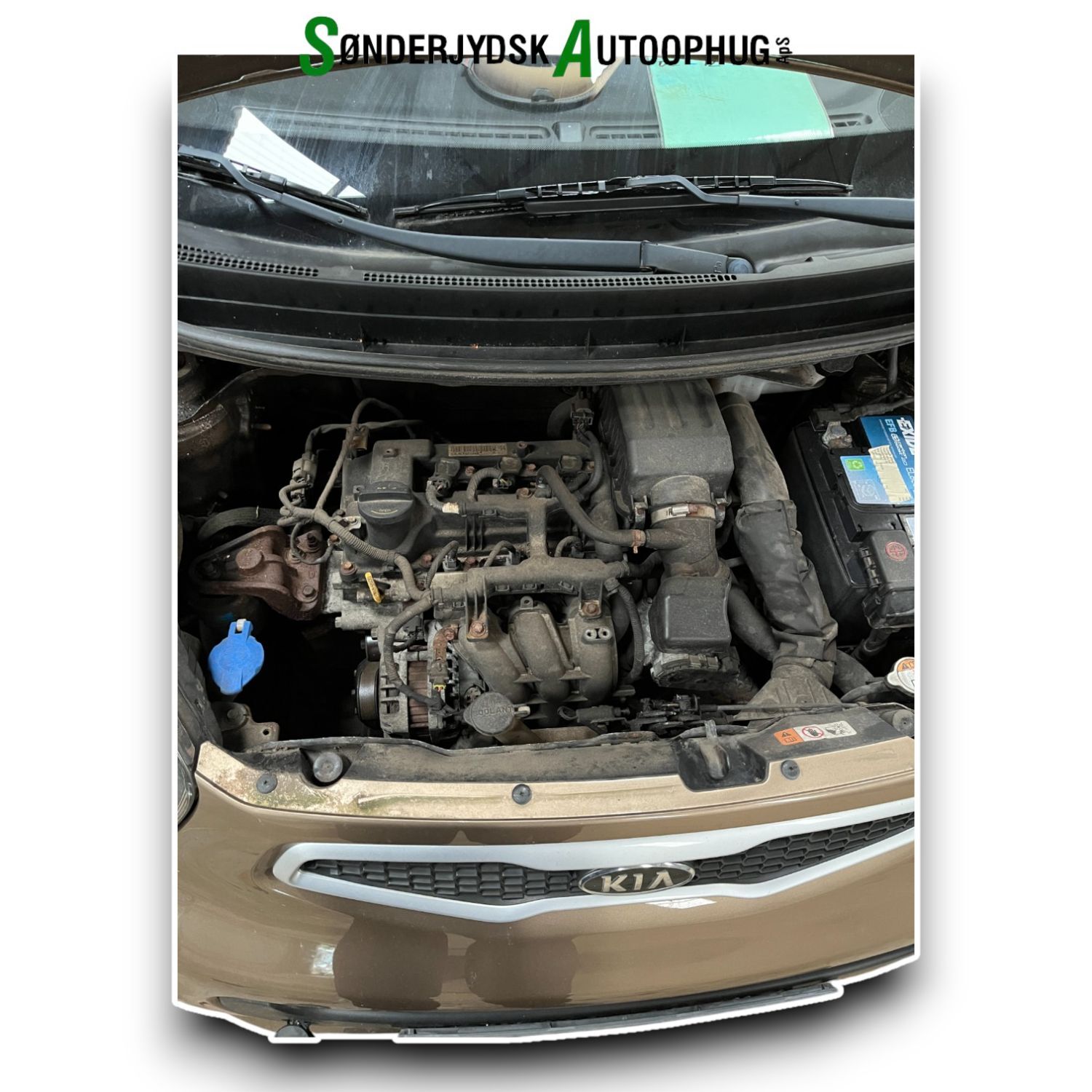 Kia Picanto Pluk-Selv-Bil Med OEM Nr. Ophugger Fra Kia Ophugger