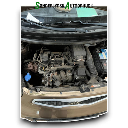 Kia Picanto Pluk-Selv-Bil Med OEM Nr. Ophugger Fra Kia Ophugger