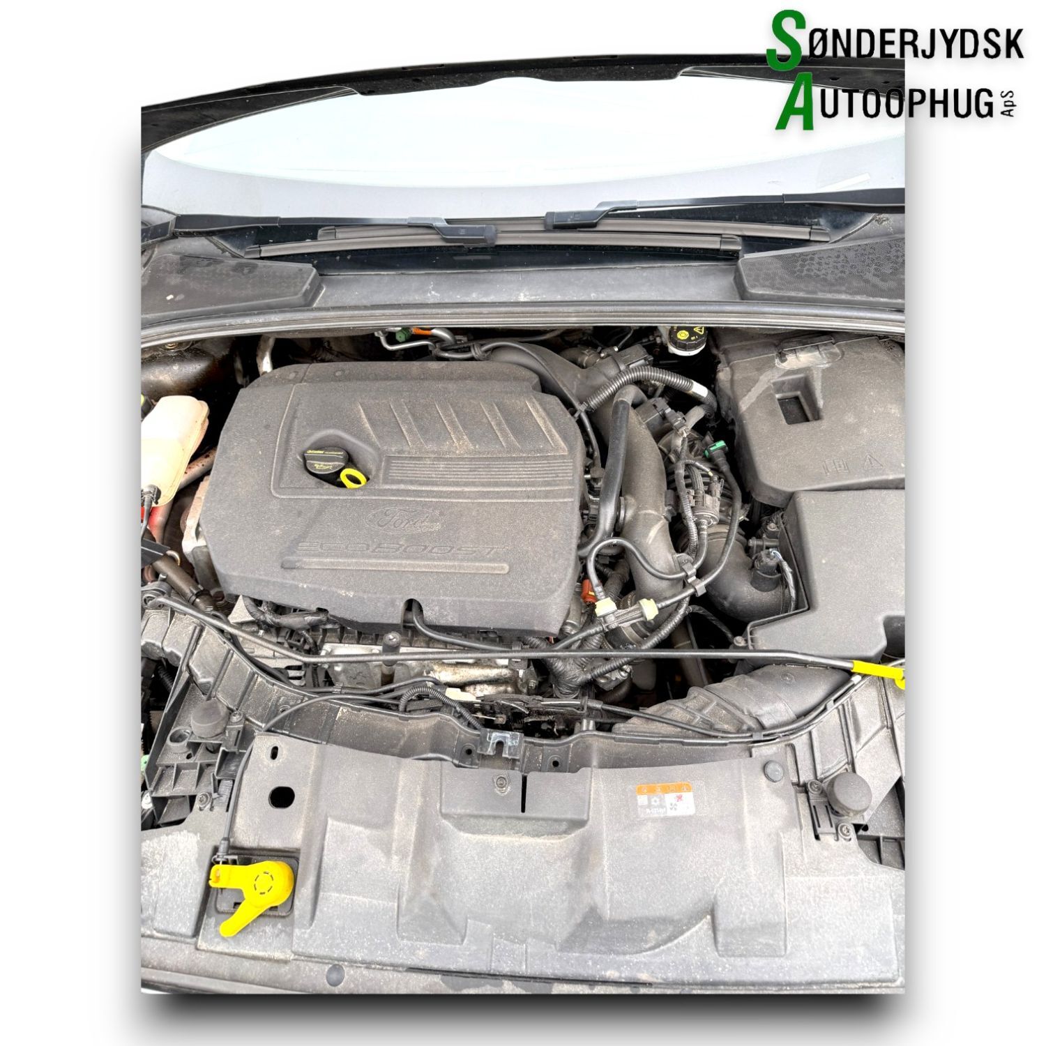 Ford Focus Pluk-Selv-Bil Med OEM Nr. Ophugger Fra Ford Ophugger