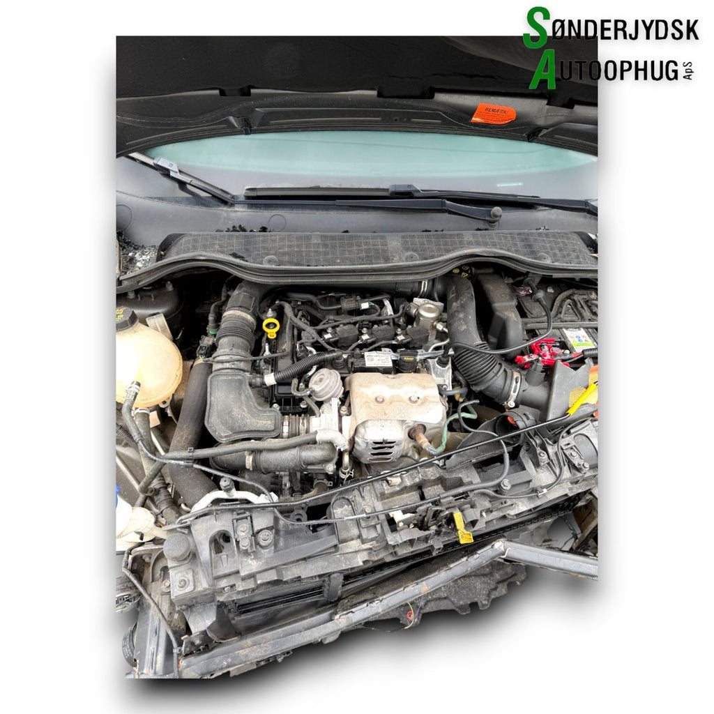 Ford Fiesta 8 Pluk-Selv-Bil Med OEM Nr. Ophugger Fra Ford Ophugger